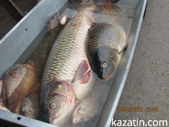 Базарний четвер Козятина 27 липня 2017, фото №1 на сайті 20minut.ua