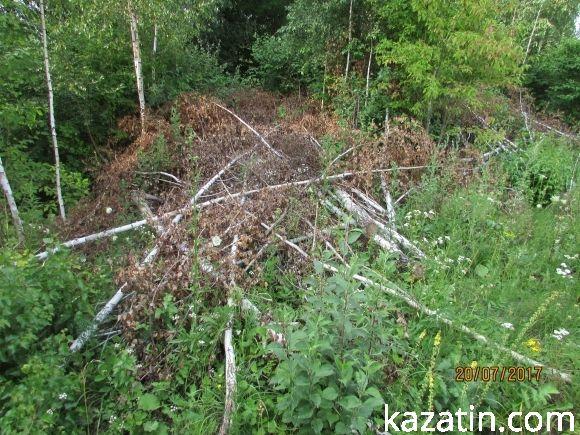 Спилювали берізки, поки громада не втрутилася на сайті 20minut.ua Спилювали берізки, поки громада не втрутилася, фото №2 на сайті 20minut.ua