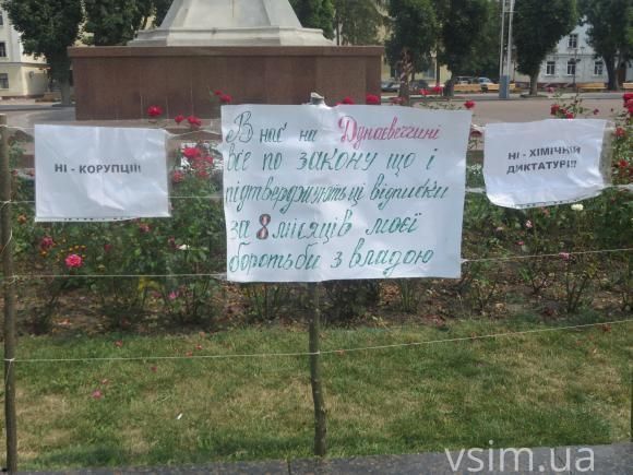 Рік тому на майдані мітингували проти корупції і диктатури, фото №1 на сайті vsim.ua