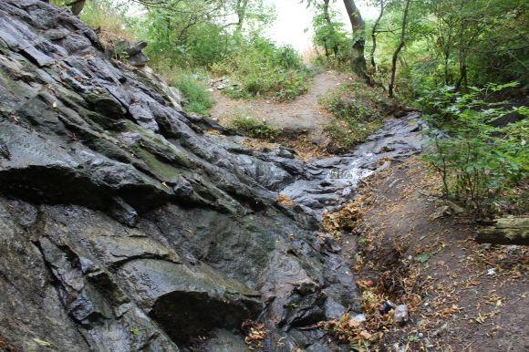 “Коли хлопчаками грали в футбол, спускалися сюди пити воду”: рибалка про парк “Кумбари”, фото №13 на сайті 20minut.ua