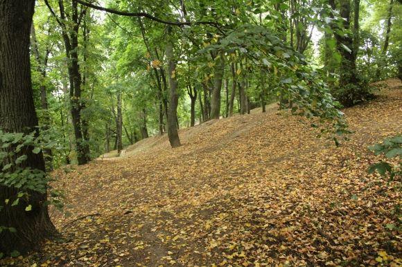 “Коли хлопчаками грали в футбол, спускалися сюди пити воду”: рибалка про парк “Кумбари”, фото №8 на сайті 20minut.ua