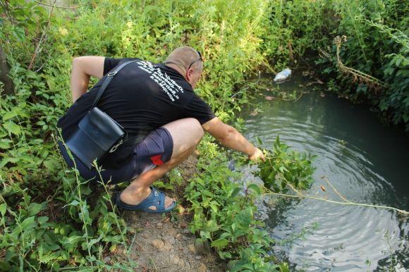 Громада Сабарова проти кладовища: "Ми з четвертої ранку тут збираємося" на сайті 20minut.ua Громада Сабарова проти кладовища: "Ми з четвертої ранку тут збираємося", фото №4 на сайті 20minut.ua