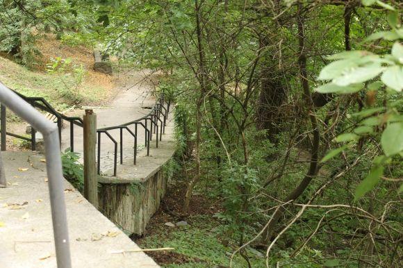 “Коли хлопчаками грали в футбол, спускалися сюди пити воду”: рибалка про парк “Кумбари”, фото №10 на сайті 20minut.ua