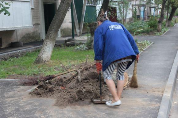 На Порика дерево впало на авто. Можливо, через пошкодження коріння екскаватором на сайті 20minut.ua На Порика дерево впало на авто. Можливо, через пошкодження коріння екскаватором, фото №6 на сайті 20minut.ua