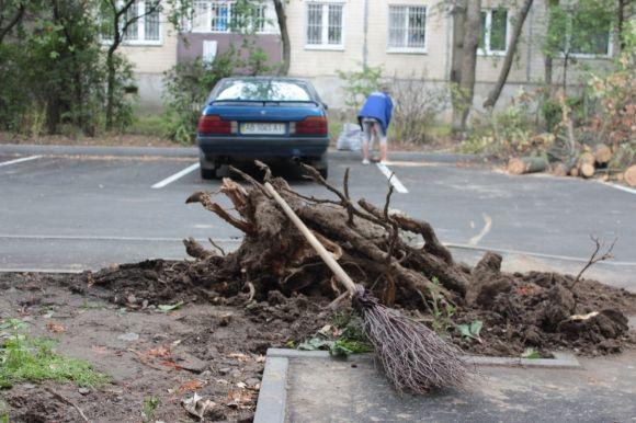На Порика дерево впало на авто. Можливо, через пошкодження коріння екскаватором на сайті 20minut.ua На Порика дерево впало на авто. Можливо, через пошкодження коріння екскаватором, фото №5 на сайті 20minut.ua
