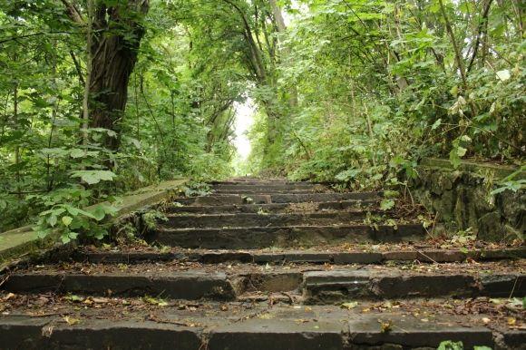 “Коли хлопчаками грали в футбол, спускалися сюди пити воду”: рибалка про парк “Кумбари”, фото №6 на сайті 20minut.ua