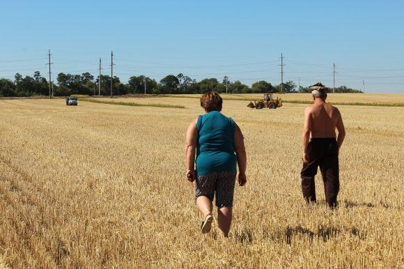 Сабарівчани п'ятий день продовжують блокувати будівництво нового кладовища на сайті 20minut.ua Сабарівчани п'ятий день продовжують блокувати будівництво нового кладовища, фото №11 на сайті 20minut.ua