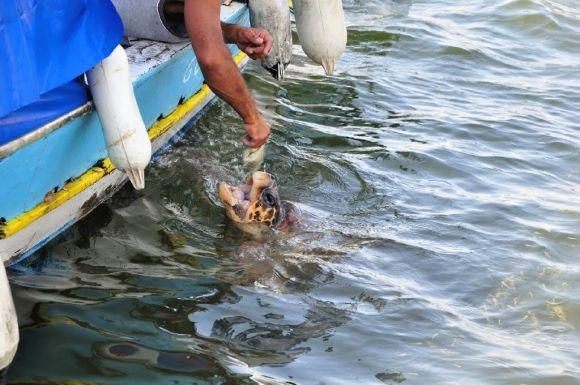 Вінницькі в Туреччині: краби, лікійські гробниці і Sting в багнюці на сайті 20minut.ua Вінницькі в Туреччині: краби, лікійські гробниці і Sting в багнюці, фото №15 на сайті 20minut.ua