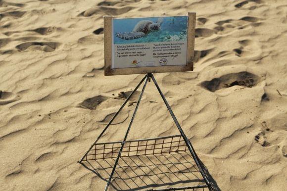 Вінницькі в Туреччині: краби, лікійські гробниці і Sting в багнюці на сайті 20minut.ua Вінницькі в Туреччині: краби, лікійські гробниці і Sting в багнюці, фото №13 на сайті 20minut.ua