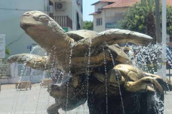 Вінницькі в Туреччині: краби, лікійські гробниці і Sting в багнюці на сайті 20minut.ua Вінницькі в Туреччині: краби, лікійські гробниці і Sting в багнюці, фото №2 на сайті 20minut.ua