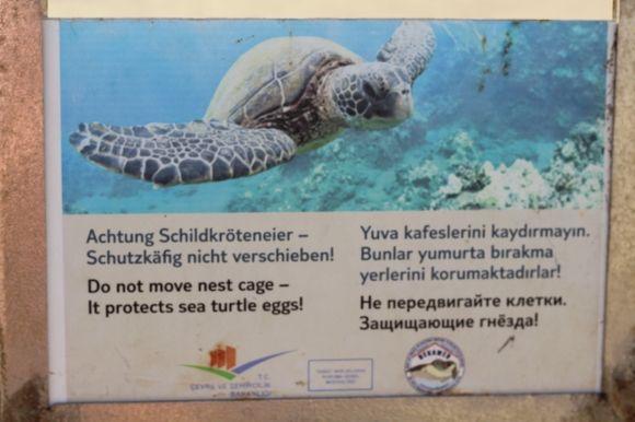 Вінницькі в Туреччині: краби, лікійські гробниці і Sting в багнюці на сайті 20minut.ua Вінницькі в Туреччині: краби, лікійські гробниці і Sting в багнюці, фото №14 на сайті 20minut.ua