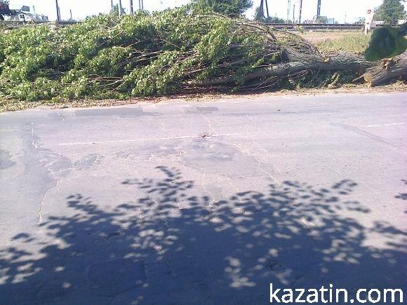 Конкурс по “дорожньому безпрєдєлу” на сайті 20minut.ua Конкурс по “дорожньому безпрєдєлу”, фото №15 на сайті 20minut.ua