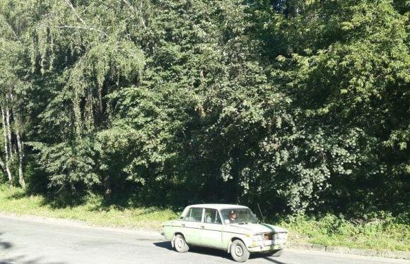 Як живеться екс-ДАІшникам у Тернополі, фото №2 на сайті 20minut.ua