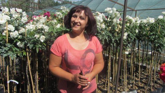 Новини Вінниці - фото з Трояндове поле під Вінницею: Яку квітку вирощують сім(!) років Трояндове поле під Вінницею: Яку квітку вирощують сім(!) років, фото №8 на сайті 20minut.ua