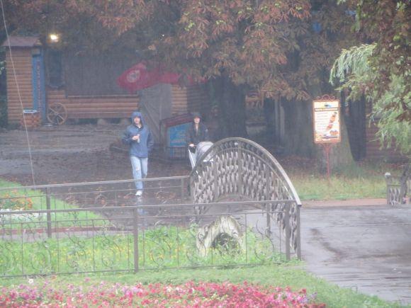 Хмельницький «вмиває» дощем після пекельної спеки, фото №2 на сайті vsim.ua
