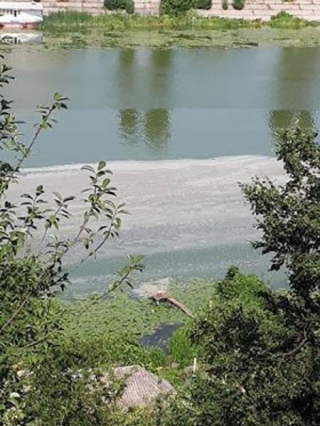 Буг вкритий білястою плівкою та рожево-сірим налітом. Екоінспекція не в курсі на сайті 20minut.ua Буг вкритий білястою плівкою та рожево-сірим налітом. Екоінспекція не в курсі, фото №2 на сайті 20minut.ua