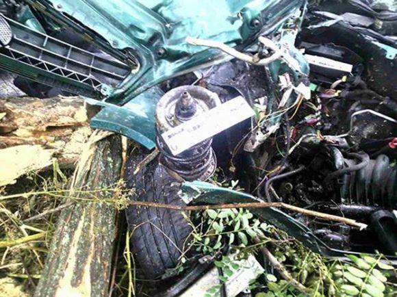 Смертельна ДТП під Вінницею:  водій Mercedes врізався в дерево, фото №2 на сайті 20minut.ua