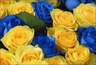 Як Кам’янець відзначатиме День Незалежності України?, фото №2 на сайті 20minut.ua