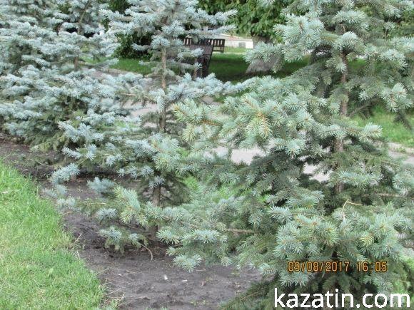 В Козятині знову спека, фото №10 на сайті 20minut.ua