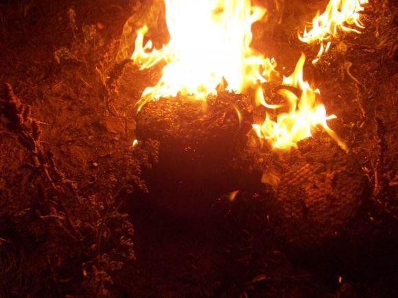 У Чемеровецькому районі мешканців врятували від шершнів на сайті vsim.ua У Чемеровецькому районі мешканців врятували від шершнів, фото №1 на сайті vsim.ua