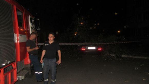 Новини Вінниці - фото з Стара тополя розтрощила два автомобілі. Перед цим з авто вийшла мама з дитиною Стара тополя розтрощила два автомобілі. Перед цим з авто вийшла мама з дитиною, фото №5 на сайті 20minut.ua