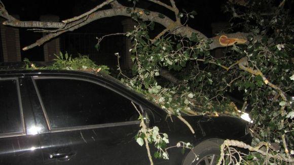 Новини Вінниці - фото з Стара тополя розтрощила два автомобілі. Перед цим з авто вийшла мама з дитиною Стара тополя розтрощила два автомобілі. Перед цим з авто вийшла мама з дитиною, фото №3 на сайті 20minut.ua