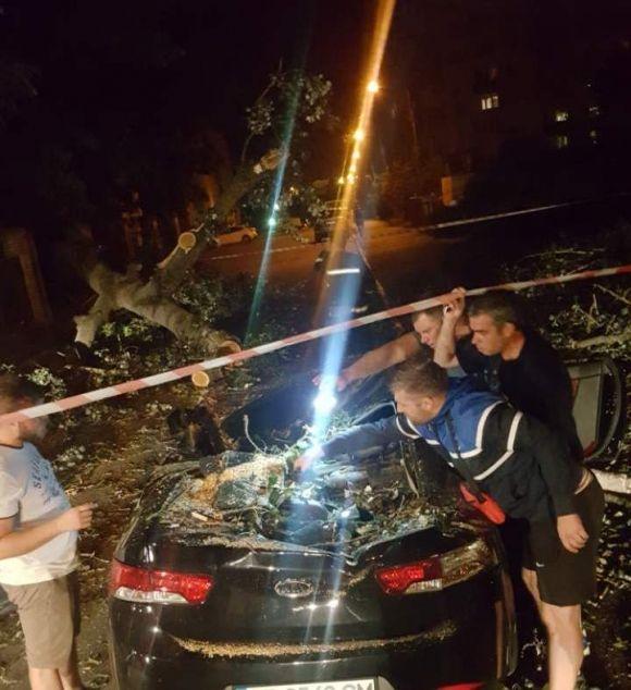 Новини Вінниці - фото з Стара тополя розтрощила два автомобілі. Перед цим з авто вийшла мама з дитиною Стара тополя розтрощила два автомобілі. Перед цим з авто вийшла мама з дитиною, фото №9 на сайті 20minut.ua