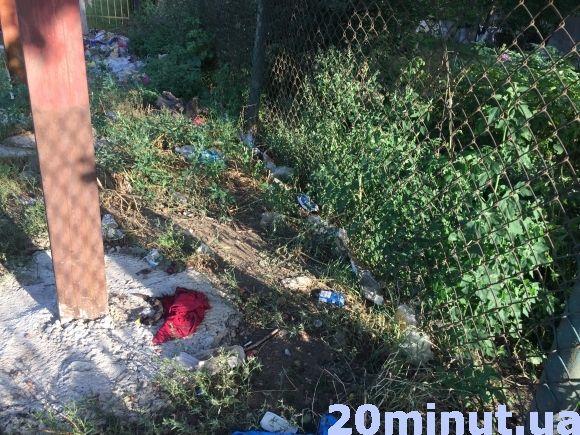 Цигани перетворили територію біля автовокзалу на звалище та туалет на сайті 20minut.ua Цигани перетворили територію біля автовокзалу на звалище та туалет, фото №3 на сайті 20minut.ua