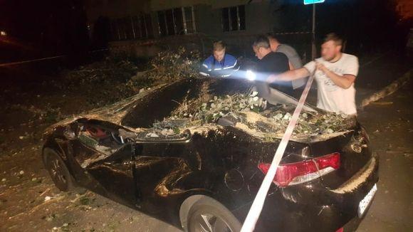 Новини Вінниці - фото з Стара тополя розтрощила два автомобілі. Перед цим з авто вийшла мама з дитиною Стара тополя розтрощила два автомобілі. Перед цим з авто вийшла мама з дитиною, фото №8 на сайті 20minut.ua