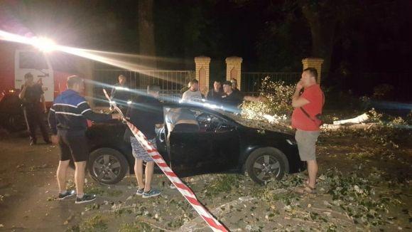 Новини Вінниці - фото з Стара тополя розтрощила два автомобілі. Перед цим з авто вийшла мама з дитиною Стара тополя розтрощила два автомобілі. Перед цим з авто вийшла мама з дитиною, фото №2 на сайті 20minut.ua