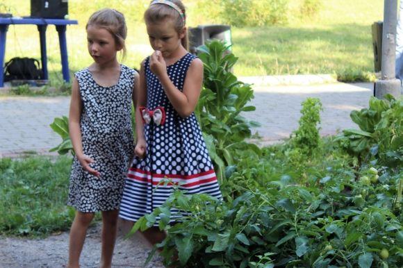 На Європейській площі зібрали врожай з динь, кавунів та капусти-«агресора», фото №2 на сайті 20minut.ua