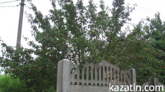 Холодний понеділок середини серпня у Козятині, фото №16 на сайті 20minut.ua