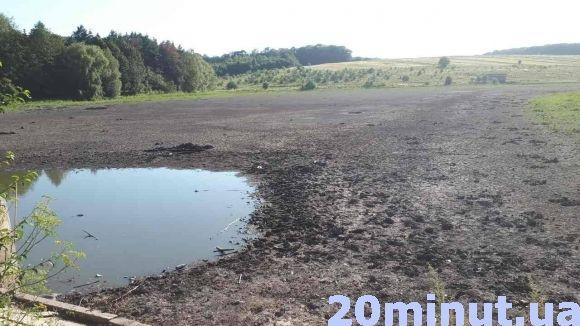 Щоб відновити Петриківський став потрібно більше 10 млн грн, фото №1 на сайті 20minut.ua