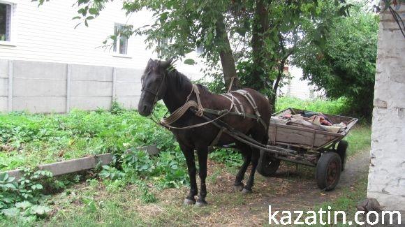 Холодний понеділок середини серпня у Козятині, фото №12 на сайті 20minut.ua