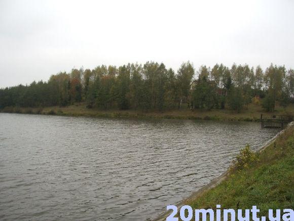Щоб відновити Петриківський став потрібно більше 10 млн грн, фото №2 на сайті 20minut.ua