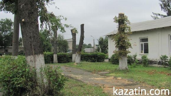Холодний понеділок середини серпня у Козятині, фото №4 на сайті 20minut.ua