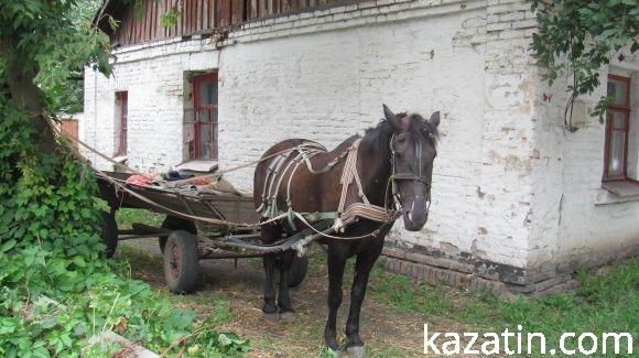 Холодний понеділок середини серпня у Козятині, фото №13 на сайті 20minut.ua