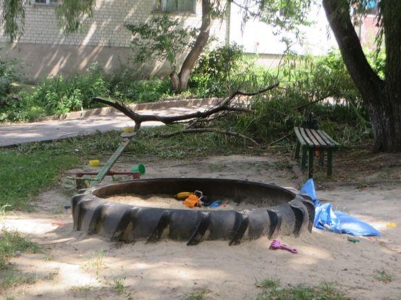 Фото дня: на дитячий майданчик по Тернопільській впало дерево, фото №1 на сайті vsim.ua