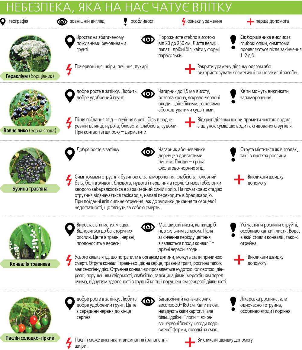 П'ять рослин, які викликають почервоніння, опіки, набряки і пухирі на сайті 20minut.ua П'ять рослин, які викликають почервоніння, опіки, набряки і пухирі, фото №1 на сайті 20minut.ua