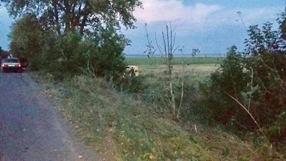 Біля Теплика у ДТП загинув 2-річний хлопчик. Ще двоє немовлят та троє дорослих постраждали, фото №1 на сайті 20minut.ua