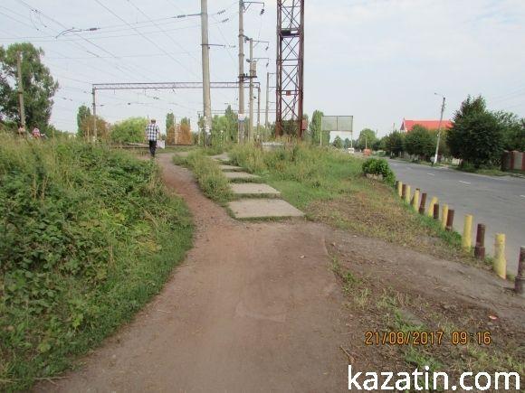 Козятинські клумби не знають дизайну, фото №1 на сайті 20minut.ua