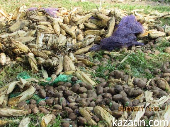 Козятин став містом, куди звозять непотріб звідусіль (ОНОВЛЕНО), фото №2 на сайті 20minut.ua