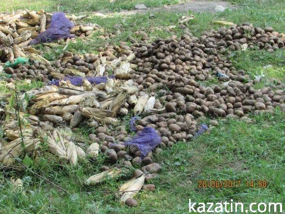 Козятин став містом, куди звозять непотріб звідусіль (ОНОВЛЕНО), фото №3 на сайті 20minut.ua