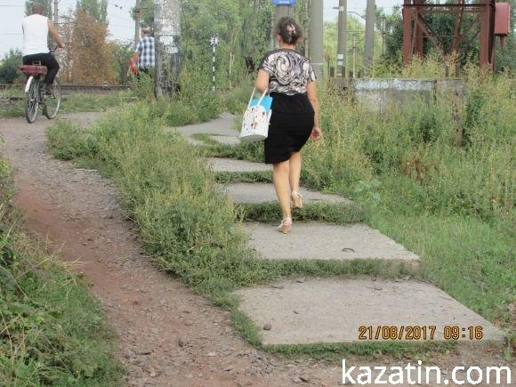 Козятинські клумби не знають дизайну, фото №2 на сайті 20minut.ua