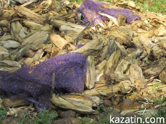 Козятин став містом, куди звозять непотріб звідусіль (ОНОВЛЕНО), фото №1 на сайті 20minut.ua