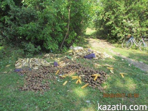 Козятин став містом, куди звозять непотріб звідусіль (ОНОВЛЕНО), фото №4 на сайті 20minut.ua