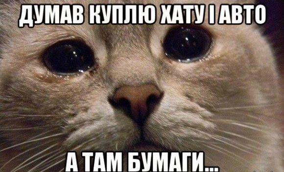 Фотожаби: Як відкривали знайдений у центрі Вінниці сейф на сайті 20minut.ua Фотожаби: Як відкривали знайдений у центрі Вінниці сейф, фото №7 на сайті 20minut.ua