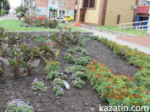 В Козятині знову дощить,  але базарне життя продовжується, фото №23 на сайті 20minut.ua
