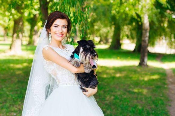 Молодята попросили гостей замість квітів та цукерок дарувати корм для собак на сайті 20minut.ua Молодята попросили гостей замість квітів та цукерок дарувати корм для собак, фото №1 на сайті 20minut.ua