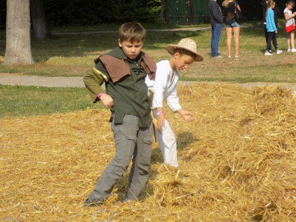 "Старкон фест" прокинувся. Як готуються до другого дня, фото №5 на сайті vsim.ua